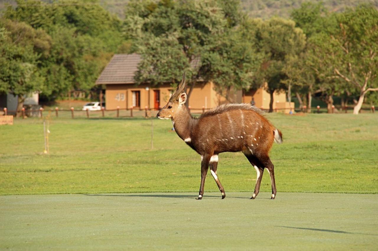 فندق First Group Magalies Park هارتبيسبورت المظهر الخارجي الصورة